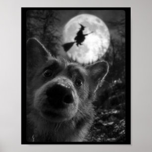 Womens Funny Corgi Selfie With Full Moon Flying Poster
