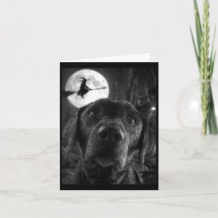 Womens Funny Labrador Selfie Full Moon Flying Card
