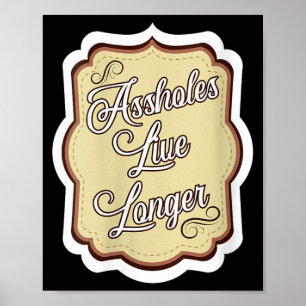 Womens Funny Sarcastic Humour Sarcasm Quote Holes Poster
