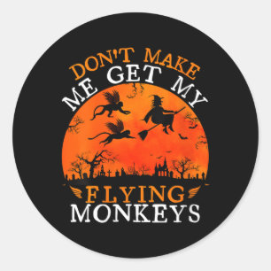 Womens Funny Witch Halloween Dont Make Get Flying Classic Round Sticker