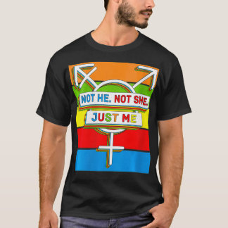 Womens Genderqueer Pride LGBTQ NonBinary VNeck T-Shirt