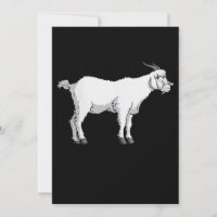 Womens Goat Wearing Medical Face Mask Funny Goat