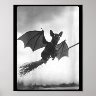 Womens Gothic Chihuahua Witch Broom Bat Wings Poster