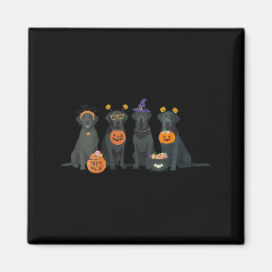 Womens Halloween Black Lab Fall Labrador Retriever Magnet