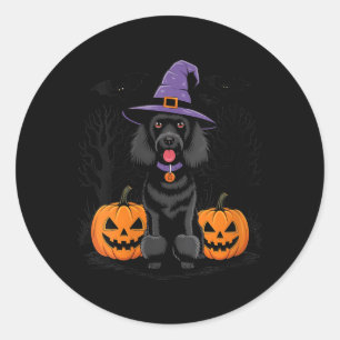Womens Halloween Witchy Black Standard Poodle Dog Classic Round Sticker