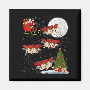 Womens Ladybug Ladybird Santa Sleigh Flying Funny  Magnet