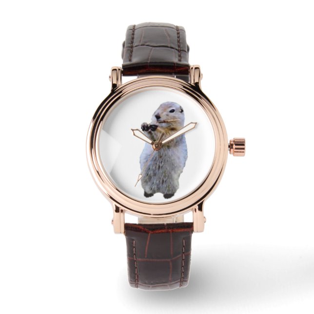 Women's Perfect Square Brown Leather Strap Watch (Front)