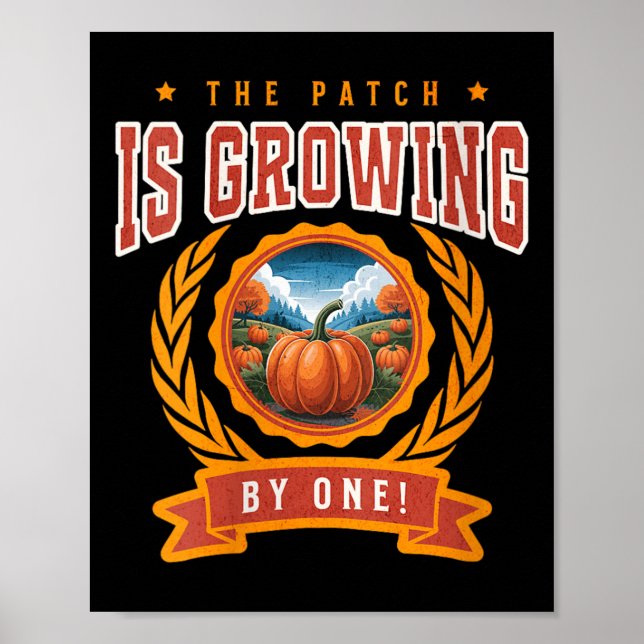 Womens Pumpkin Pregnancy Annnouncement Baby Reveal Poster (Front)