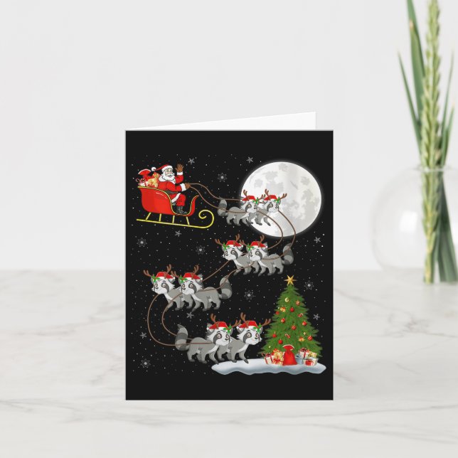 Womens Raccoon Santa Sleigh Flying Funny Magical C Card (Front)