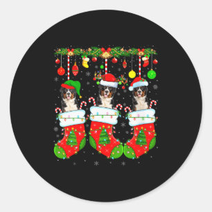 Womens Saint Bernard Dog In Christmas Socks Funny  Classic Round Sticker