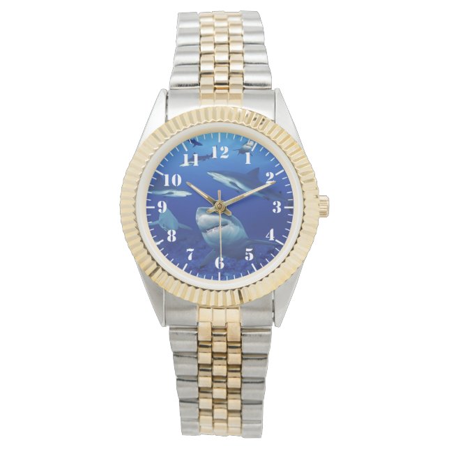 Women's Sharks Two-Tone Watch (Front)