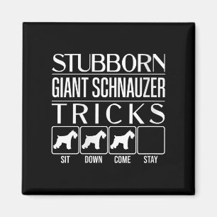 Womens Stubborn Giant Schnauzer Tricks, Funny Magnet