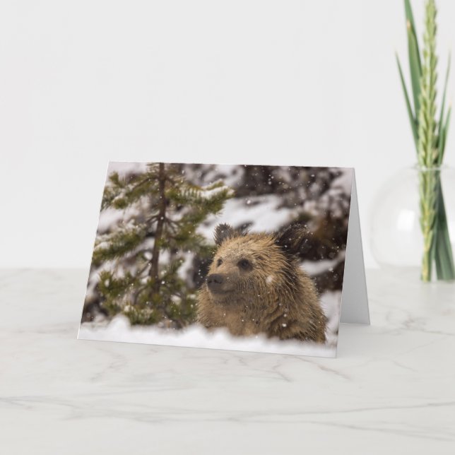 "Wonder" Holiday Card (Front)