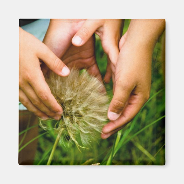 Wonder of Nature Photo Magnet (Front)