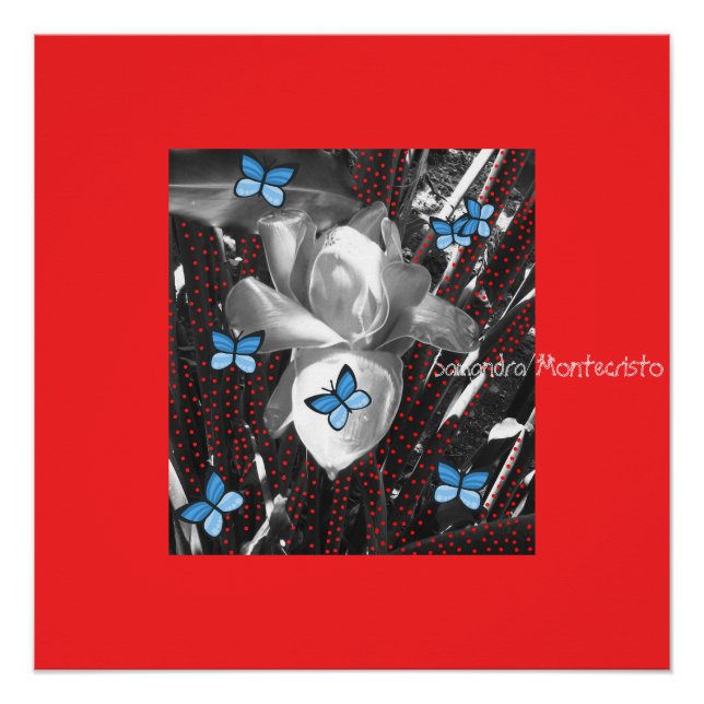 Wonder Rose Red Ants & Blue Butterflies Poster (Front)