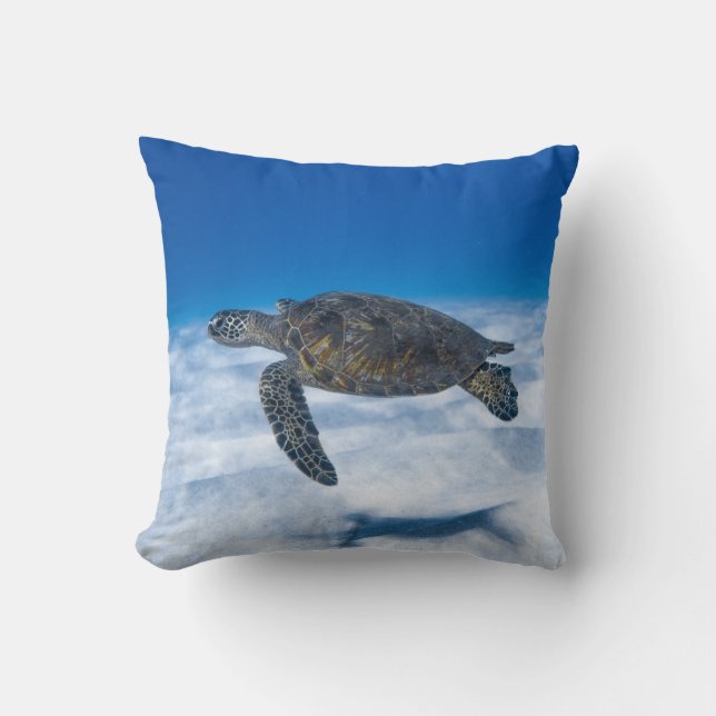 Wonderful Aquatic Turtle Cushion (Front)