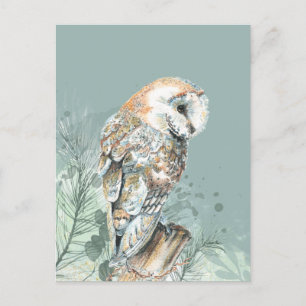 Wonderful Barn Owl Bird Wildlife Nature Art  Postcard