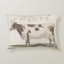 Wonderful & beautiful vintage cow pillow.