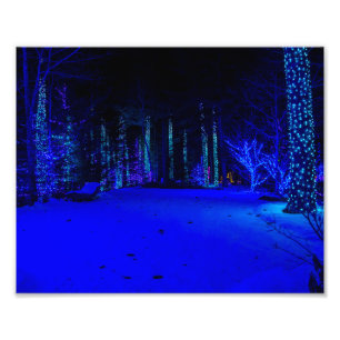 Wonderful Christmas Time 8 x 10 Kodak Pro Print