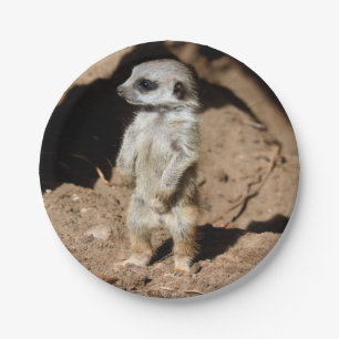Wonderful Cute Sweet African Meerkat Animal Paper Plate