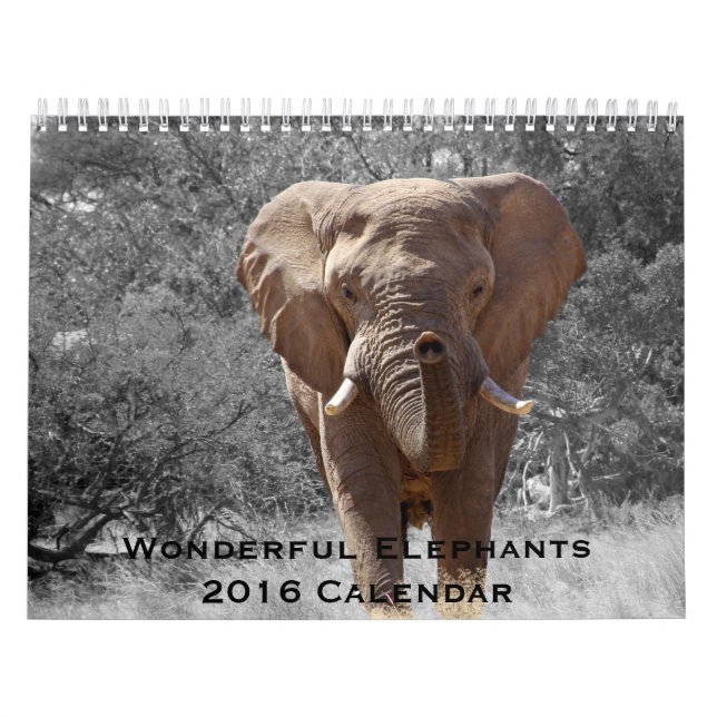Wonderful Elephants 2016 Calendar (Cover)