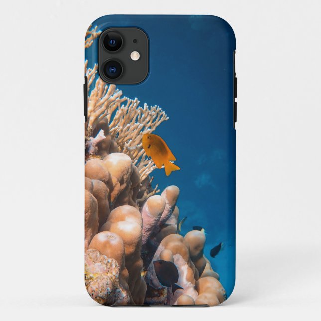 Wonderful Fishes And Reefs Case-Mate iPhone Case (Back)