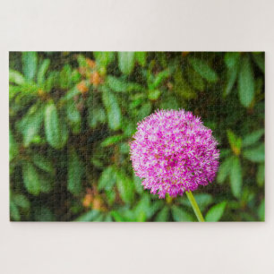 Wonderful fuchsia flower at Keukenhof, Netherlands Jigsaw Puzzle