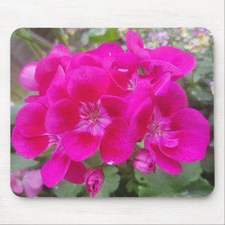 Wonderful Garden Flowers Mouse  Mat Mouse Mat