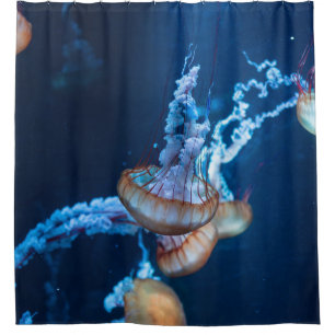 Wonderful Jellyfishes Shower Curtain