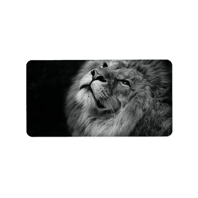 Wonderful Lion Label (Front)