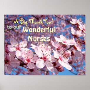 Wonderful Nurses art A Big Thank You Nursing Poster