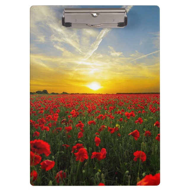 Wonderful Poppy Field Sunset Horizon Clipboard (Front)