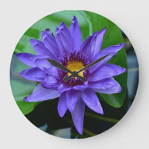 wonderful purple lotus