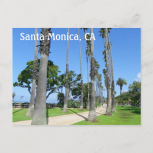 Wonderful Santa Monica Postcard! Postcard
