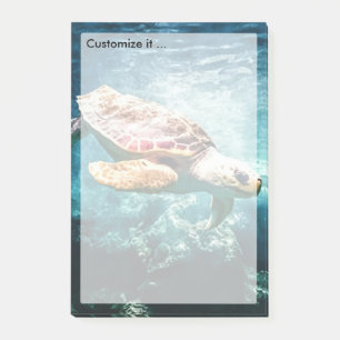 Wonderful  Sea Turtle Ocean Life Turquoise Sea Post-it Notes