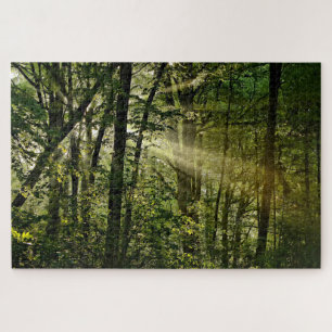 Wonderful Sunbeams in the morning Forest Jigsaw Puzzle