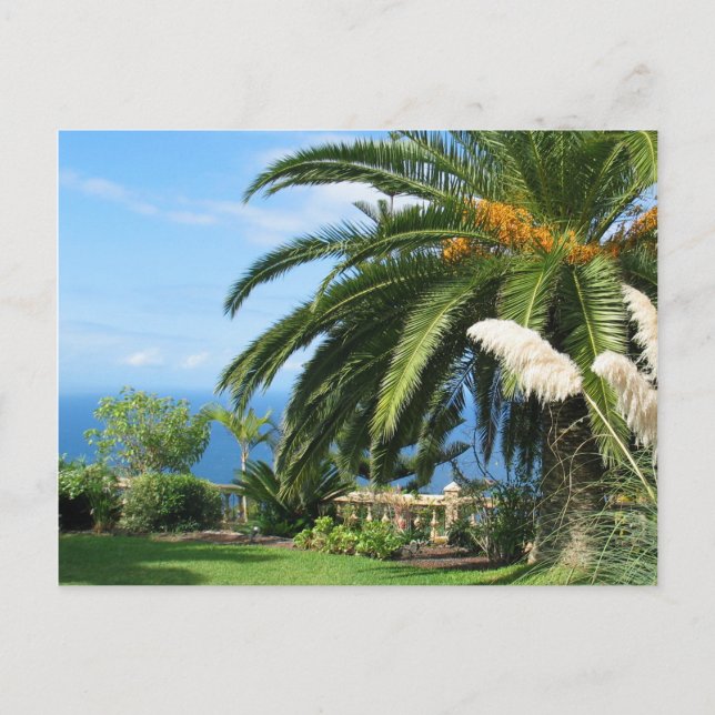 Wonderful Tenerife Postcard (Front)