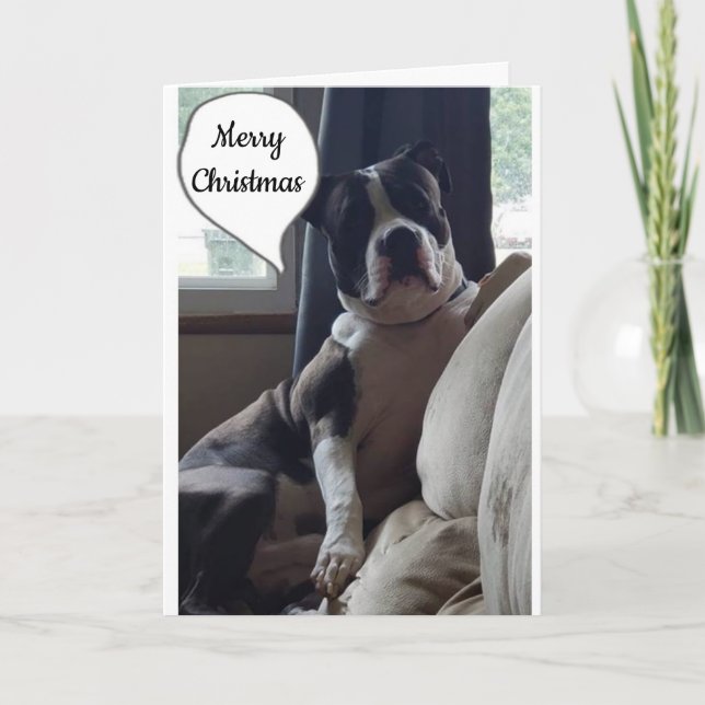 WONDERFUL TIME OF THE YEAR  **MERRY CHRISTMAS" HOLIDAY CARD (Front)