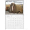 Wonderful Walrus Wall Calendar