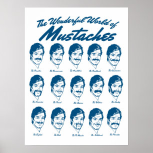 Wonderful World of Moustaches Poster