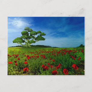 Wonderful World Postcard