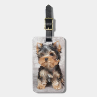 Wonderful yorkie luggage tag