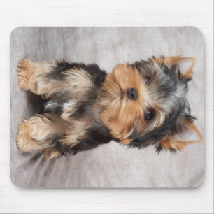 Wonderful yorkie mouse mat