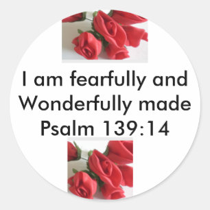 Wonderfully Made Classic Round Sticker