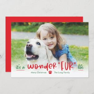 Wonderfur Life Pet Holiday Photo Card