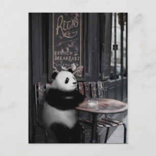 Wondering at a cafe postcard