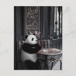 Wondering at a cafe postcard