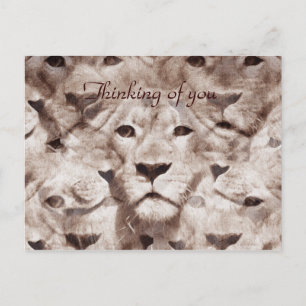 Wondering eyes_ postcard