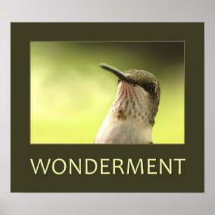 Wonderment Poster