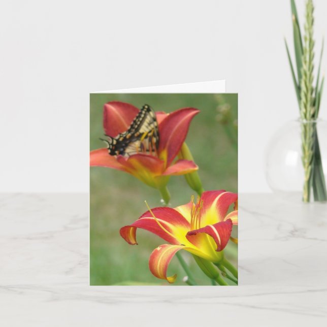 Wonders Beyond Card (Front)